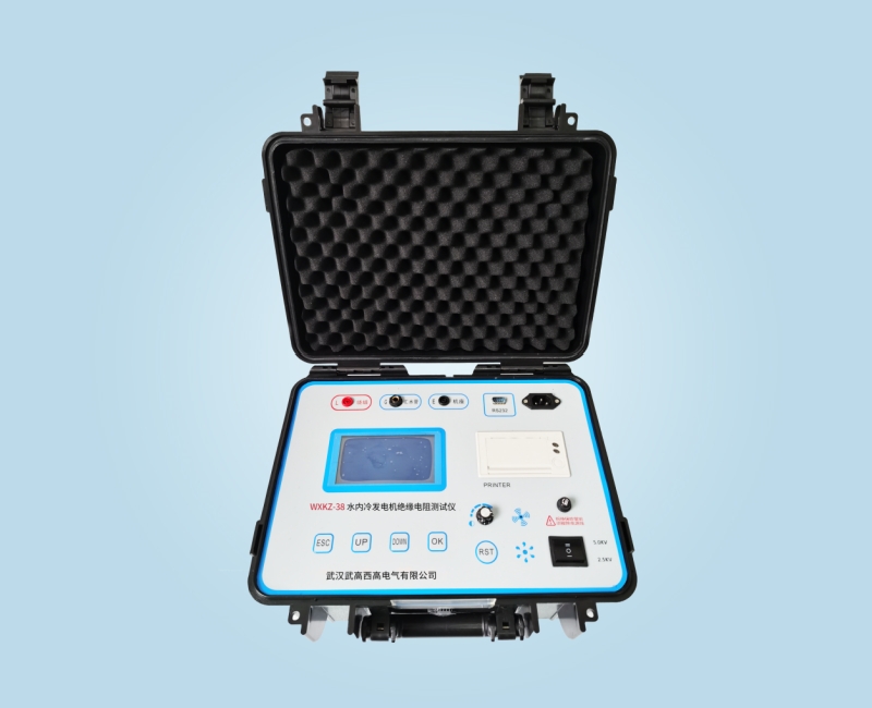 WXKZ-38水內(nèi)冷發(fā)電機(jī)絕緣電阻測試儀